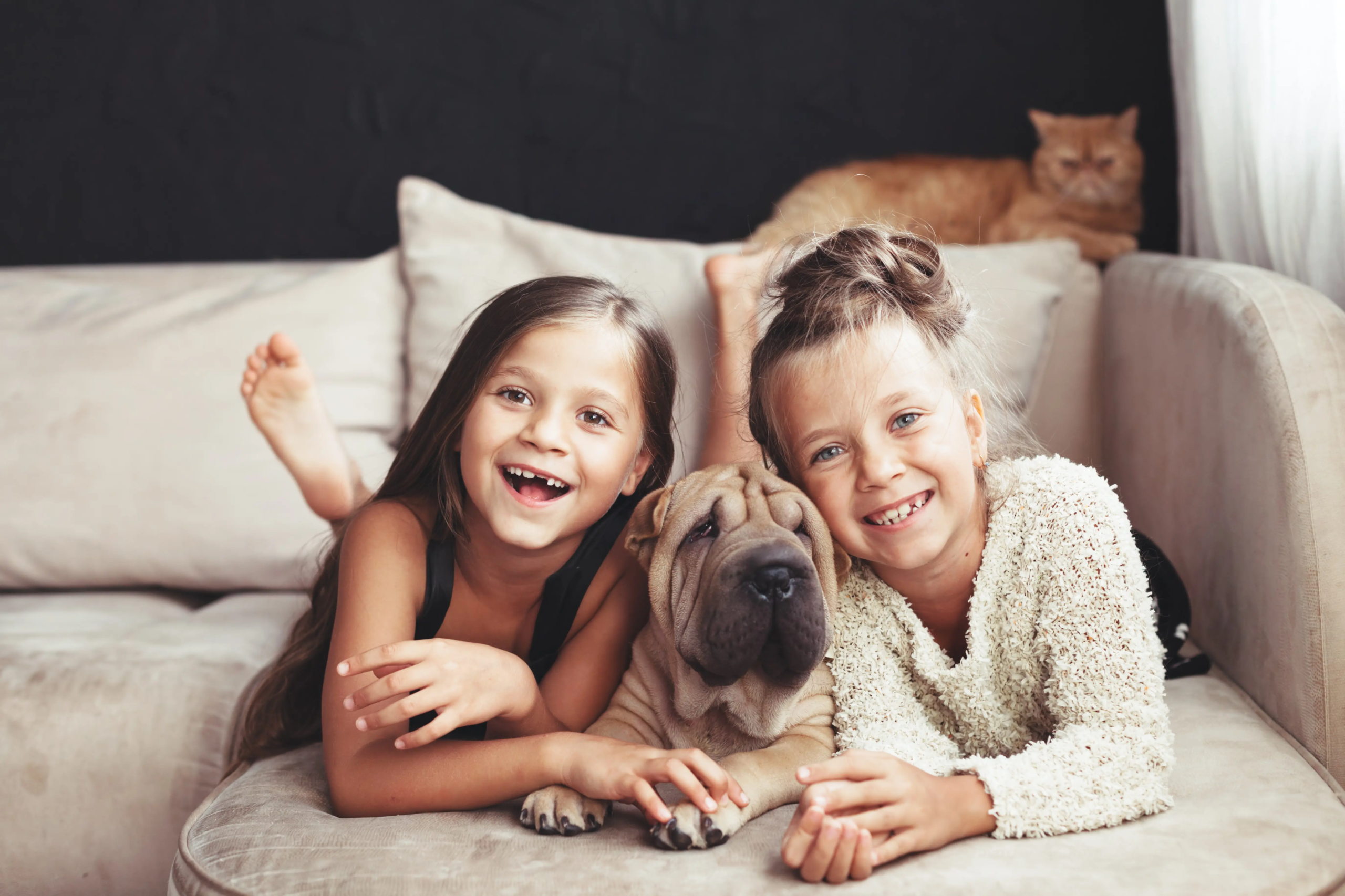 Gas Fireplace Safety for Children & Pets